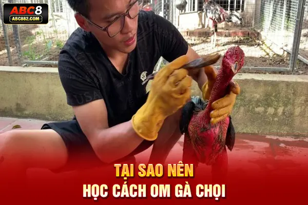 Tại sao nên học cách om gà chọi