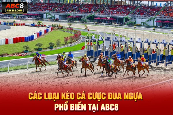 Các loại kèo cá cược đua ngựa phổ biến tại ABC8