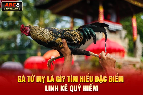 gà tử mỵ