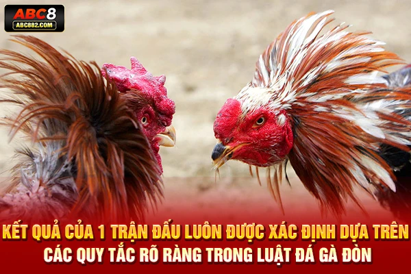 Kết quả của 1 trận đấu luôn được xác định dựa trên các quy tắc rõ ràng trong luật đá gà đòn