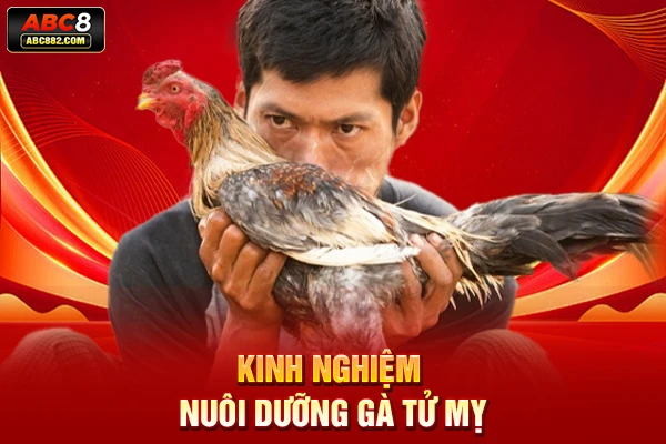 Kinh nghiệm nuôi dưỡng gà tử mỵ