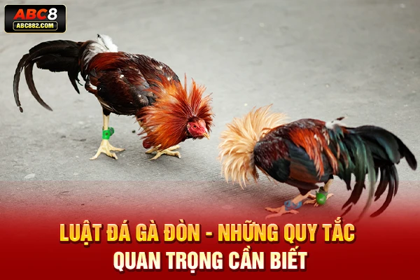 Luật đá gà đòn - Những quy tắc quan trọng cần biết