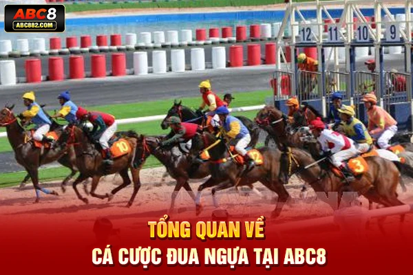 Tổng quan về cá cược đua ngựa tại ABC8